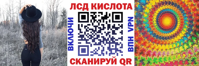 Марки N-bome 1500мкг  Лесной 