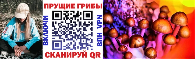 гидра зеркало  Лесной  Псилоцибиновые грибы Cubensis  где купить наркотик 